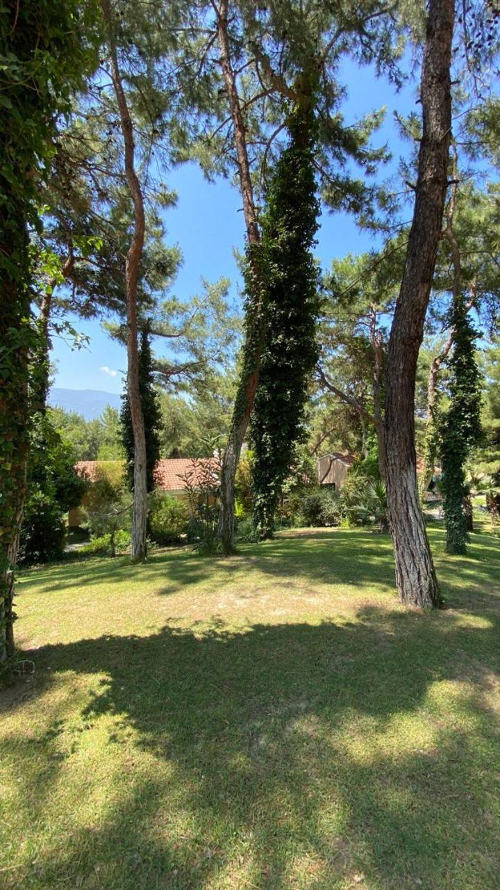 Pine Club Apart Hotel Kusadası Eksteriør bilde